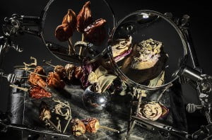 curso integral de fotografia microscopio