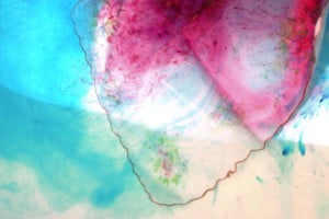 Fotocromatosis Carolina Montejo