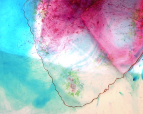 Fotocromatosis Carolina Montejo