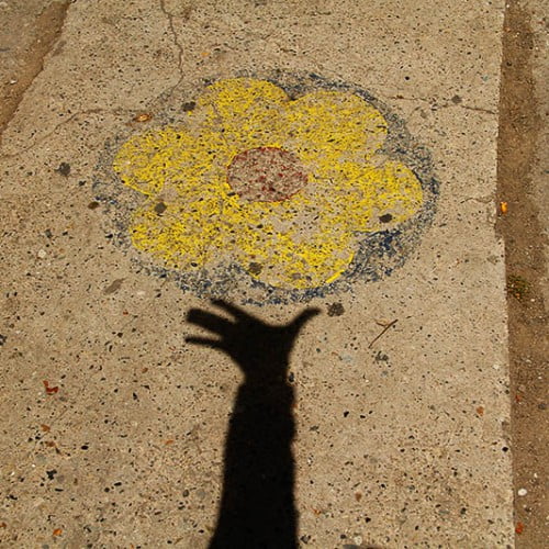 Flor en la calle