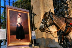 caballo en la habana cuba