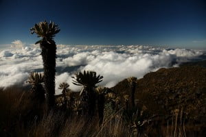 Paramos en el tolima