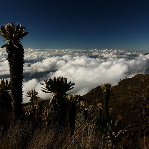 Paramos en el tolima