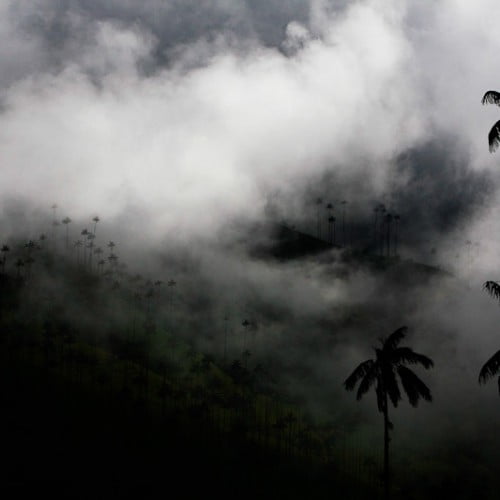 Valle de Cocora fotografia nocturna