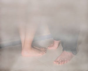 Pies fotografia artistica