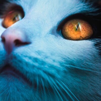 curso de fotografia digital