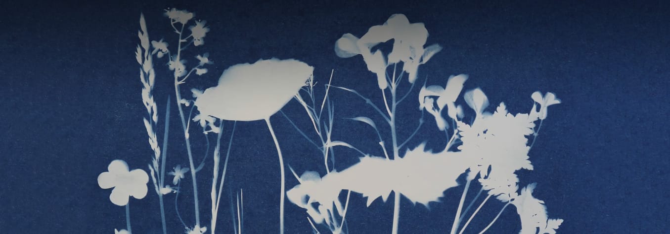 El Arte Azul: Un Vistazo a la Historia de la Cianotipia