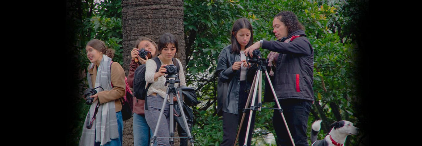 Cursos de fotografía gratis vs. pagos: ¿Cuál elegir para dominar la fotografía?