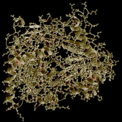 013_Kit_Proteine_Mama-Coca_Book 013_Kit_Proteine_Mama-Coca_Book