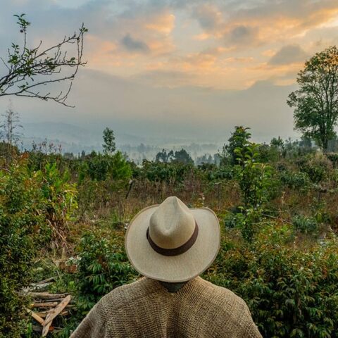 Mención de Honor: Carlos Mario Duran Mogollón