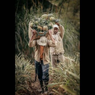 PostalesDeColombia...-#PostalesDeColombia2026-#ConcursoPostalesDeColombia2026-(2)